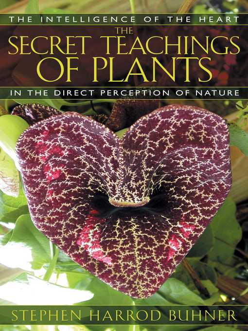 Title details for The Secret Teachings of Plants by Stephen Harrod Buhner - Available